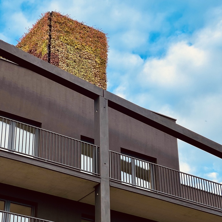 Ostatnie prace nad #ŻORRO.