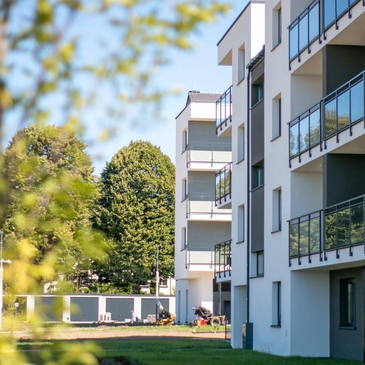 Zaglądamy na Zieloną Dolinę, etap I