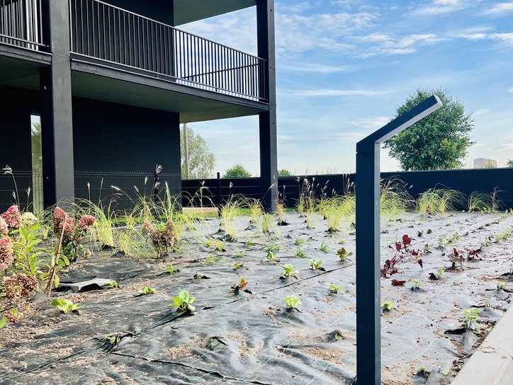 Ostanie szlify nad budową apartamentowca #ŻORRO by Blockhaus.